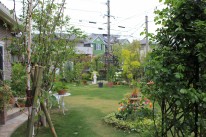 雑木風の庭