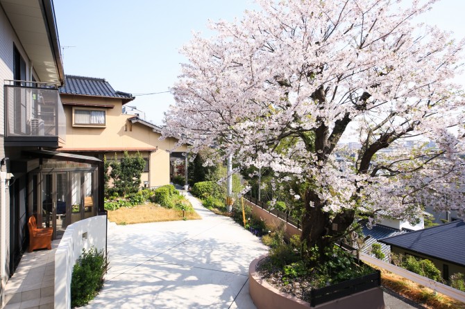 ガーデンルーム&桜