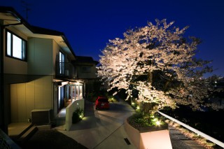 ガーデンルームと夜桜